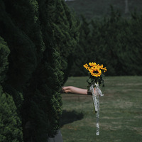 ���������š�