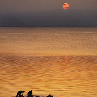 Ϧ��.����.���