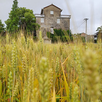 ���ӻ���