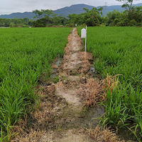 �����͵ĵ���