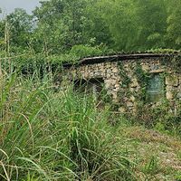 【旅游日记No.64】走临海石桶坑环线，看人迹罕至的美景