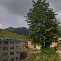 赏景垟坑村探访黄岩仙居一号界牌