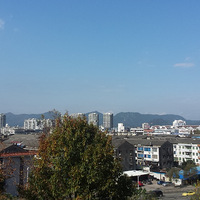 2014��Ļ���