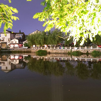 ����Ӱ2022����̨�ݡ�ȡ������-20220527-����