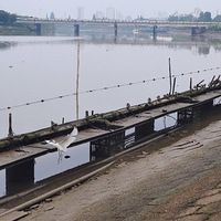 ����Ӱ2022����̨�ݡ�����˫��-20220529-����