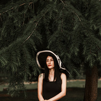 ������ʽ