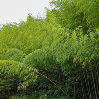 雨后尤溪山里风景一览