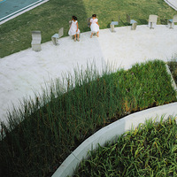 �����⡿�������ɫ