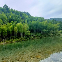 �����޴�����