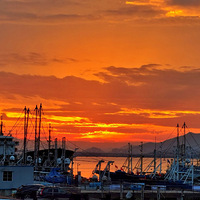 ����������԰������ϼ