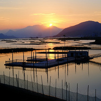 ���������һ����ϼ