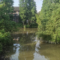 路桥区张李南浦湿地公园