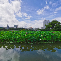 �����⡿+��������