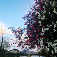 С������