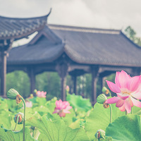 �����⡿+����һ��ɻ���