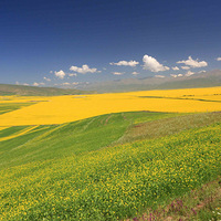 ���ڻ��ܿ����Ͳ˻�