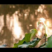 �����⡿���������