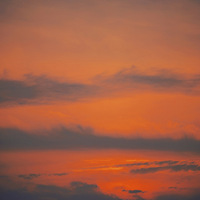 ����ϼ�ϼ���