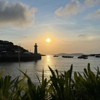 ��µ����