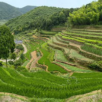 探访临海天台边界的河头镇福泉寺和天台文岙古村