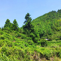 骑过台州的布达拉宫，骑过长寿村石舍，骑过海拔千米的藤彭岭