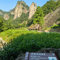 大龙湫、方洞、灵岩、灵峰 一天走遍雁荡山四大景区