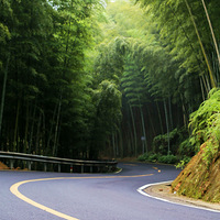 美丽的富山竹林公路【黄岩】
