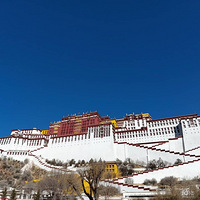 ��Լ����