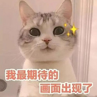 有品位的新娘背什么？你不能错过16款美艳婚包！