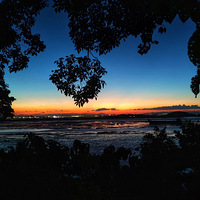 Ը������ϼ��������Ũ