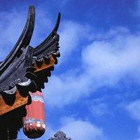 ��ֹ�Ͻ�ϷϷ