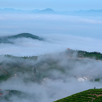 ������������ɽ