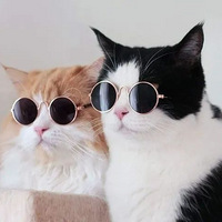 ĸı䣿Щˡô˵