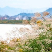 以水为带，解锁路桥这条本地游精品路线