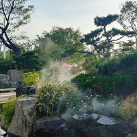 葭沚老街