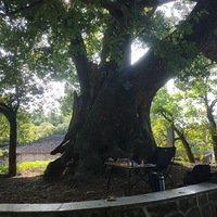 在板障山发发呆