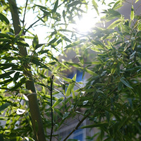 ���������������������