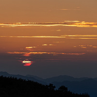 ǡ������������