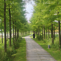 ����Ӱ2022����̨�ݡ�����һ��-20220918-����