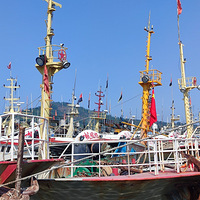 洞港