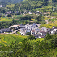 ̨���������