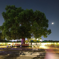 ����Ӱ2022����̨�ݡ�����ʱ��-20221001-����