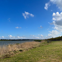 ��������ޡ�¶ӪҰ������