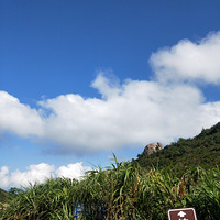 ��������ޡ�����ʮ��ɳ̲����