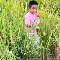 ��������ޡ��ƺ�����ˣһˣ