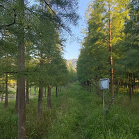 ��������ޡ�������ʪ�ع�԰����̨�ݵĴ��ԭ