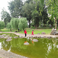 ����Ӱ2022����̨�ݡ�����ˮ��-20221006-����