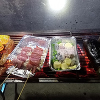 �������.+�տ�