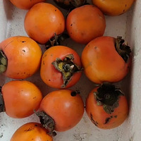 �����������ġ�������