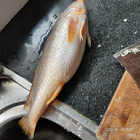 �����������ġ����ֺóԵ�